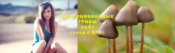 МДМА Арсеньев