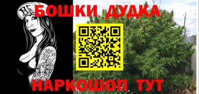 apvp Новодвинск