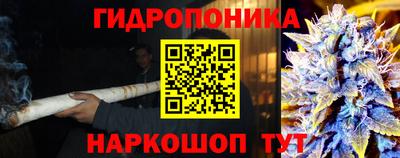 шишки Новозыбков