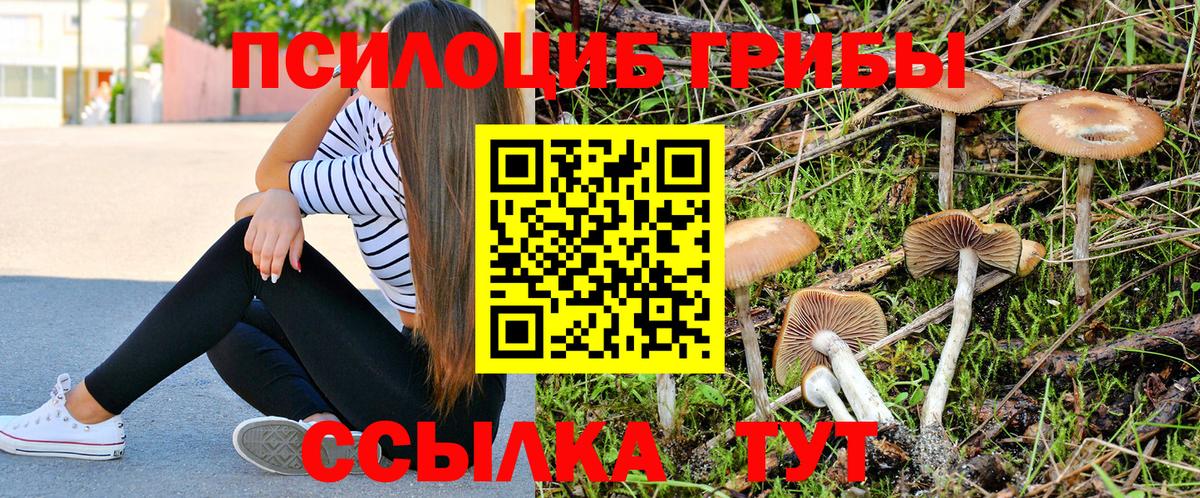 Чапаевск  Псилоцибиновые грибы прущие грибы  Вход с VPN 