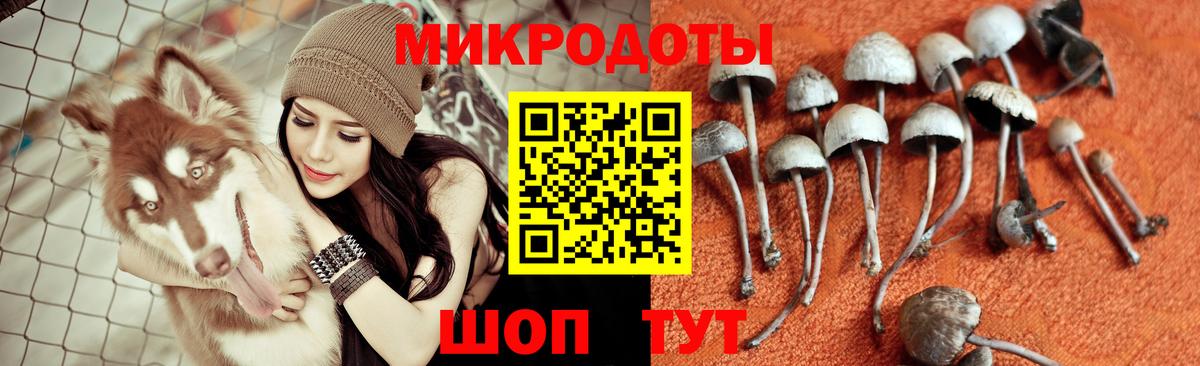 Псилоцибиновые грибы мухоморы Чапаевск